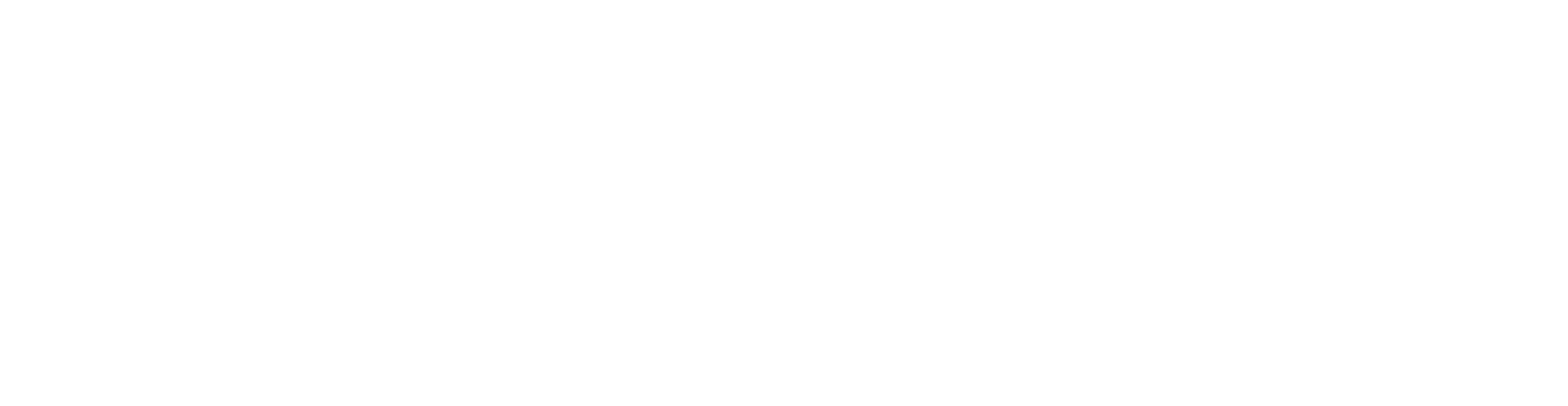 Dynamic Group logo